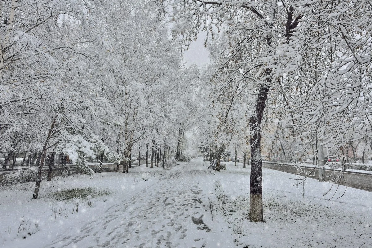 Штормовое предупреждение в Казахстане: метель, гололед и туман ожидаются 8 декабря