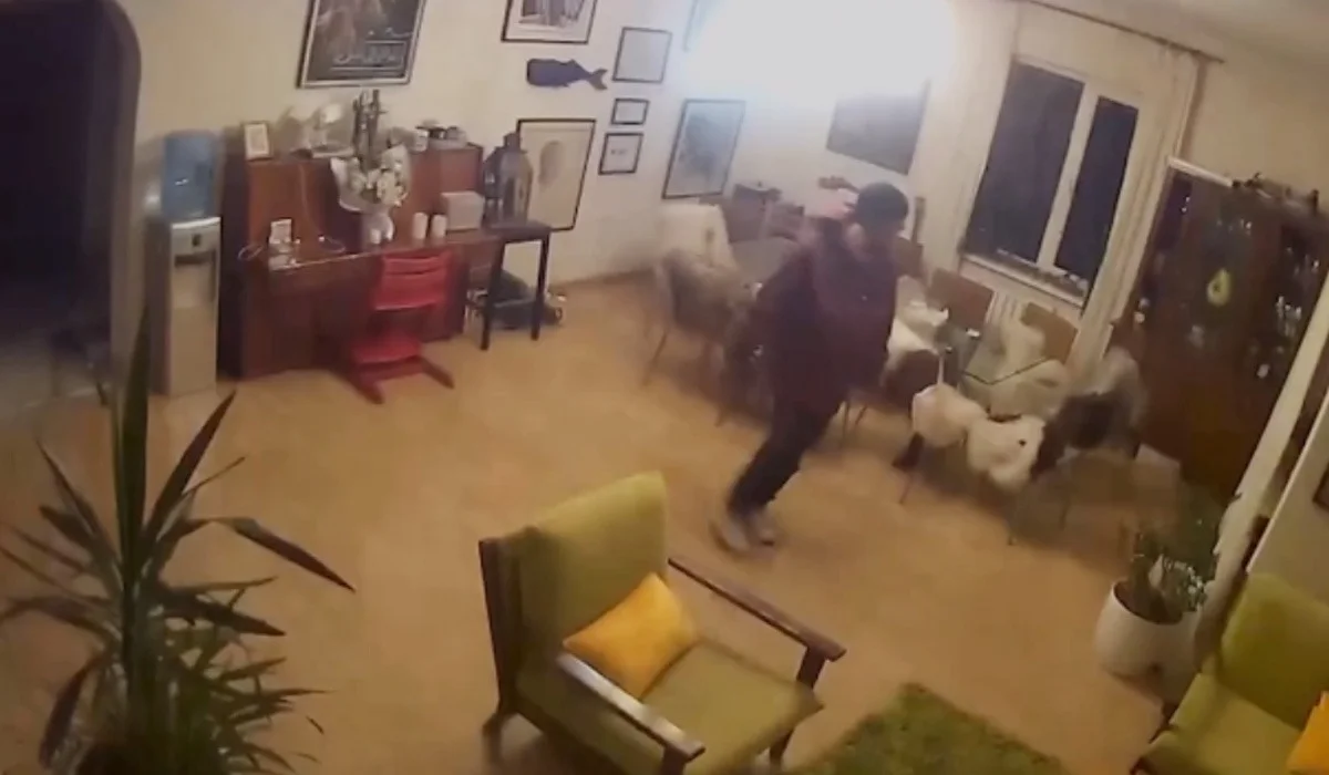 Вор пытался увезти похищенный сейф на троллейбусе в Алматы (ВИДЕО)