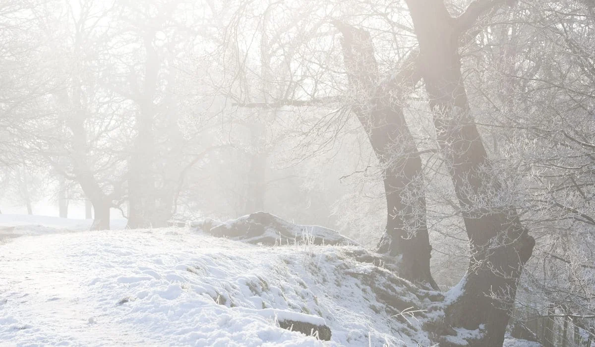 Морозы спадают: потепление придет в Казахстан в ближайшие дни