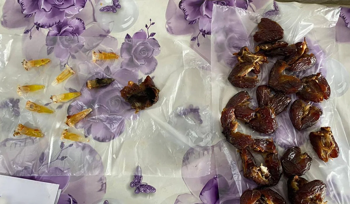 Спрятали в финиках: попытку проноса наркотиков пресекли в колонии в Павлодаре