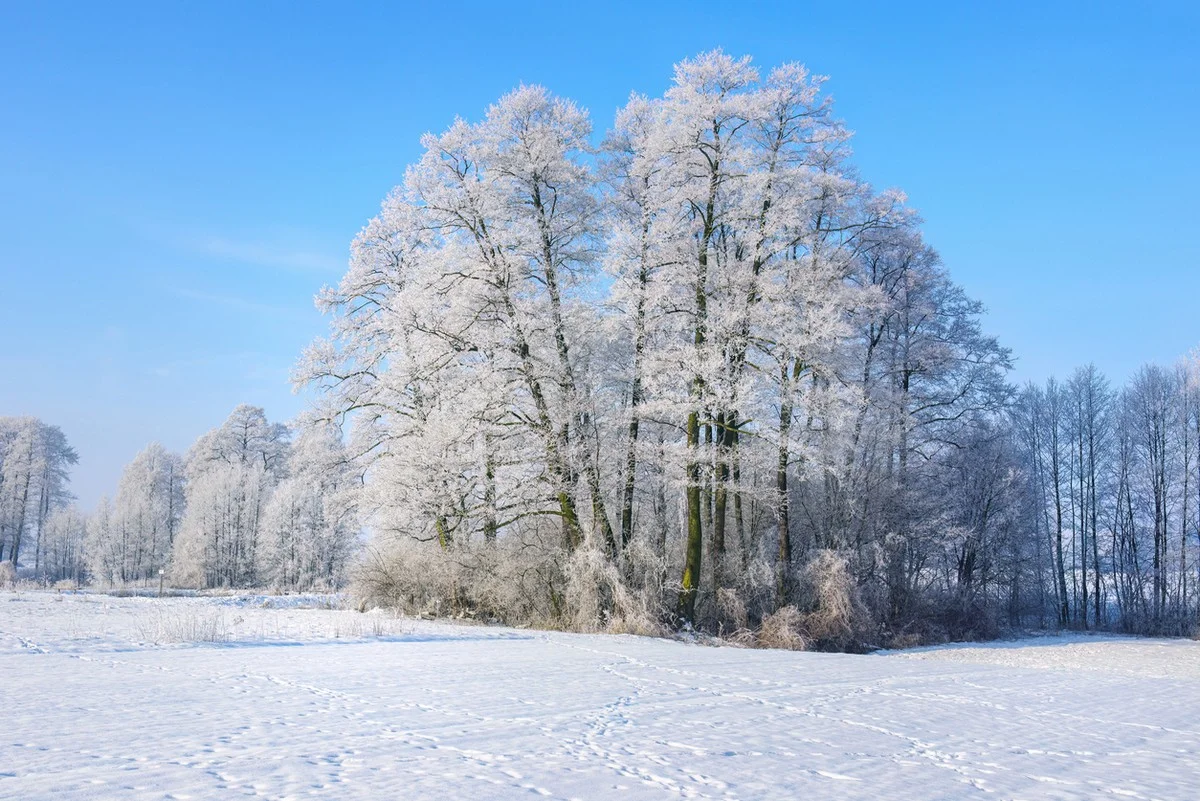 Морозы отпускают: прогноз погоды в Казахстане на 12 декабря
