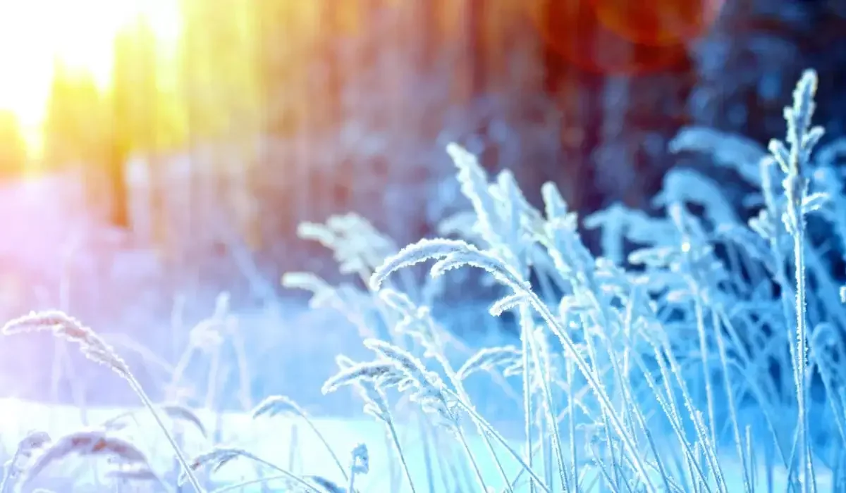 Какая погода ждет казахстанцев 11 декабря