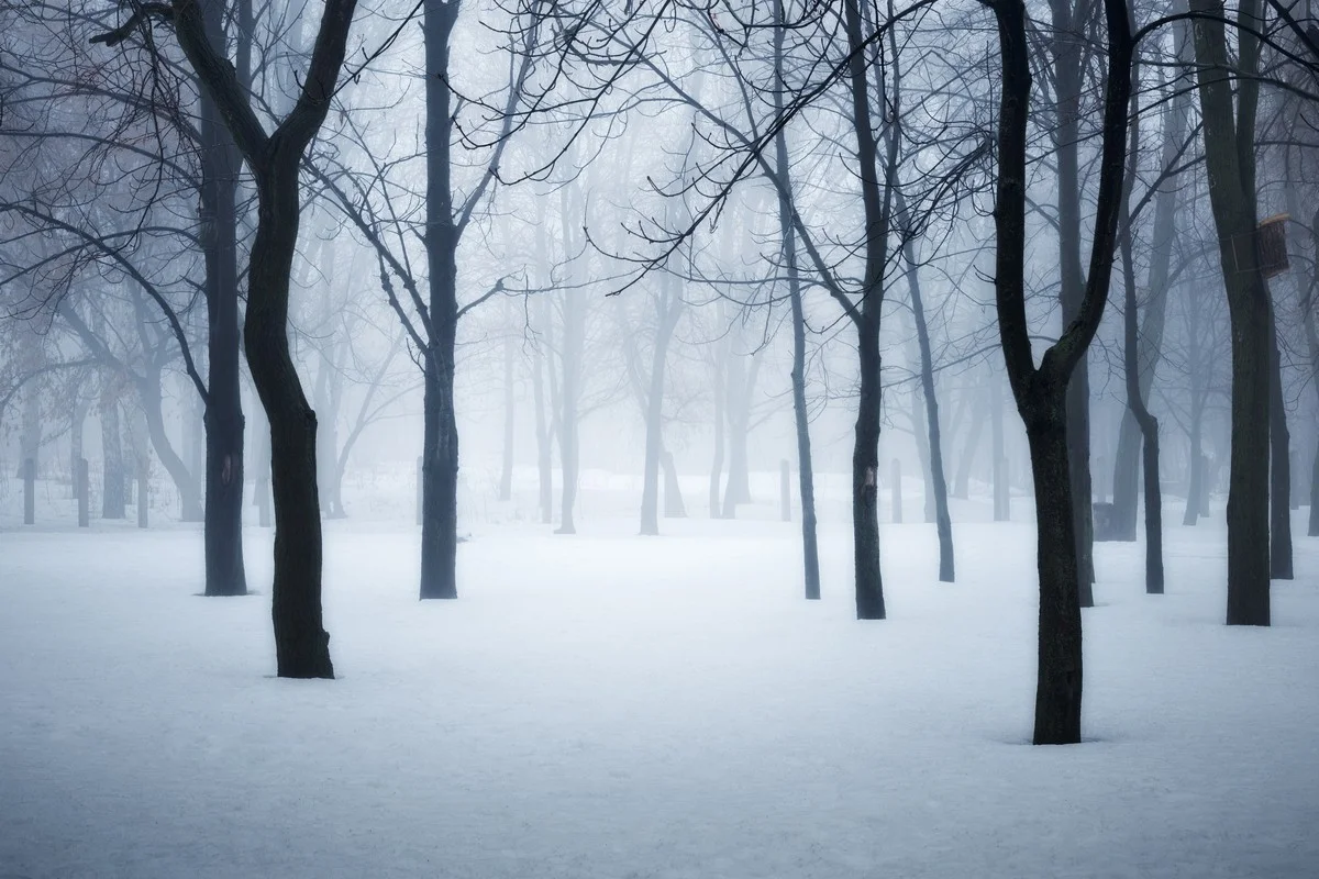 В каких регионах Казахстана объявили штормовое предупреждение