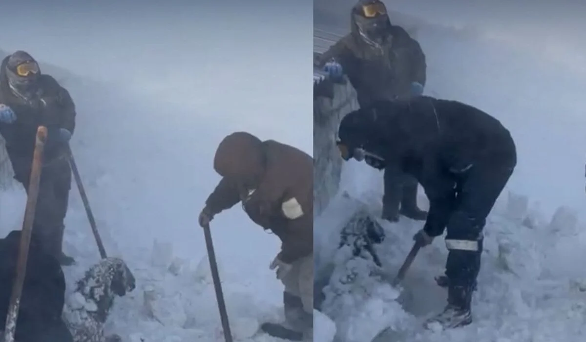 Сельчане откапывали скот из снежного плена в ЗКО (ВИДЕО)