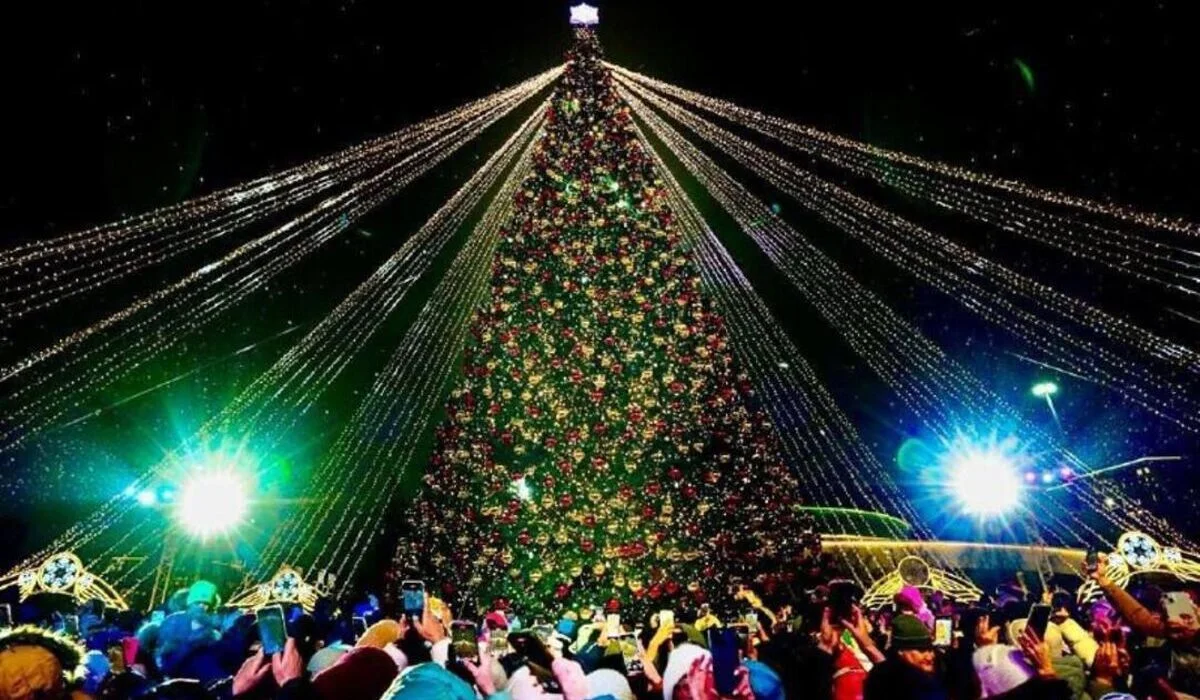 Больше 40 новогодних елок одновременно зажгутся в Астане