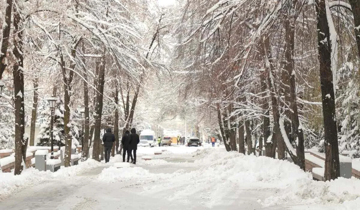 Снегопады и морозы до -28 °C: холодные воздушные массы вторгнутся в Казахстан
