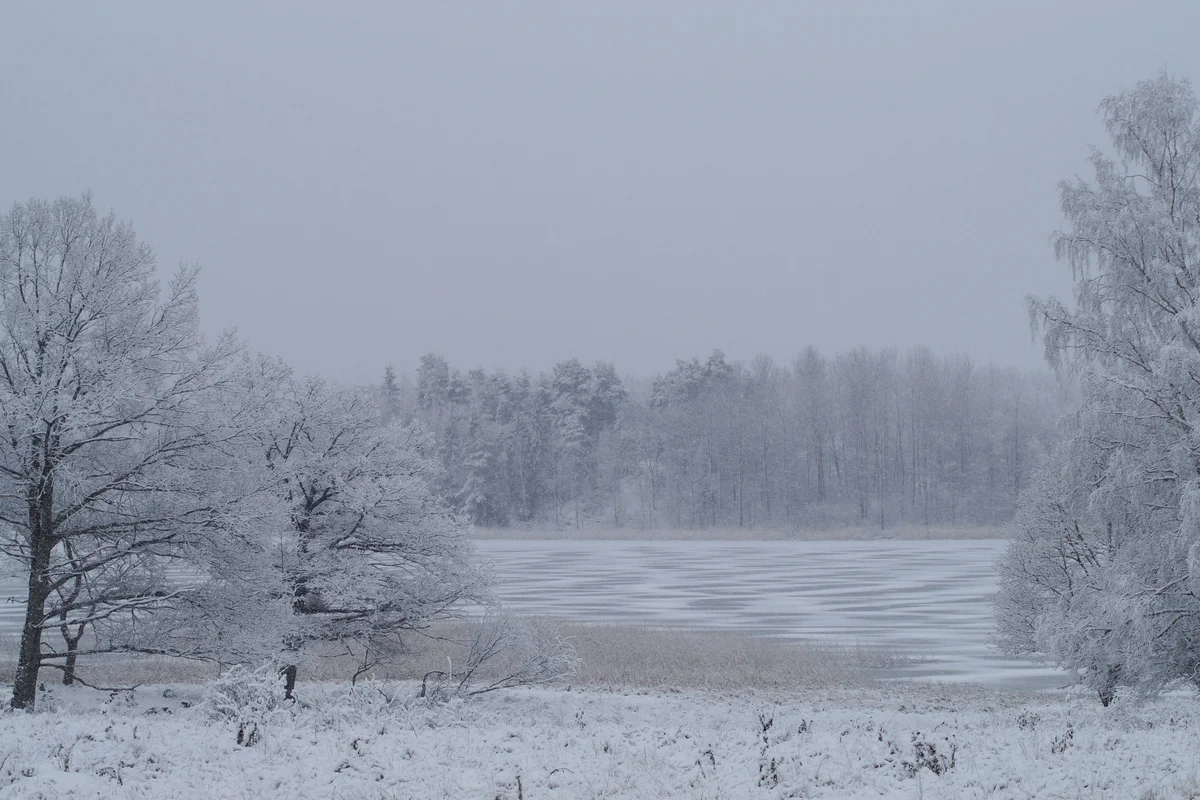 Туман, метели и гололед: штормовое предупреждение по всему Казахстану на 24 декабря