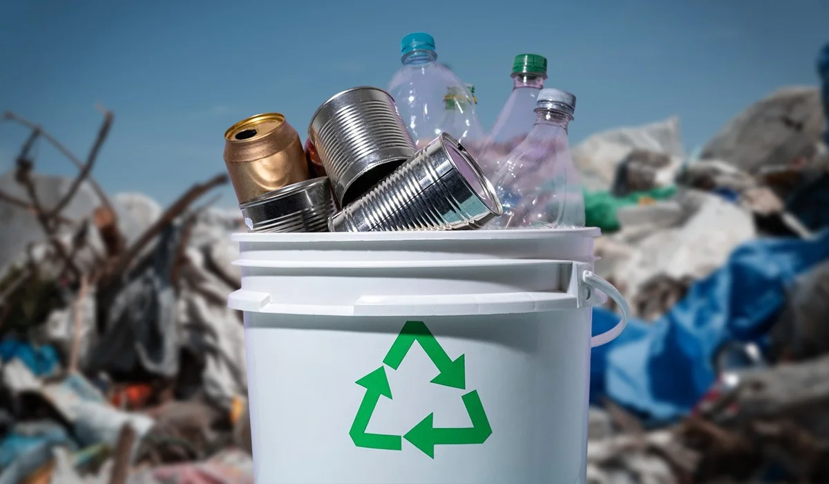 Токаев: Экология, чистота в быту должны быть частью нашего менталитета