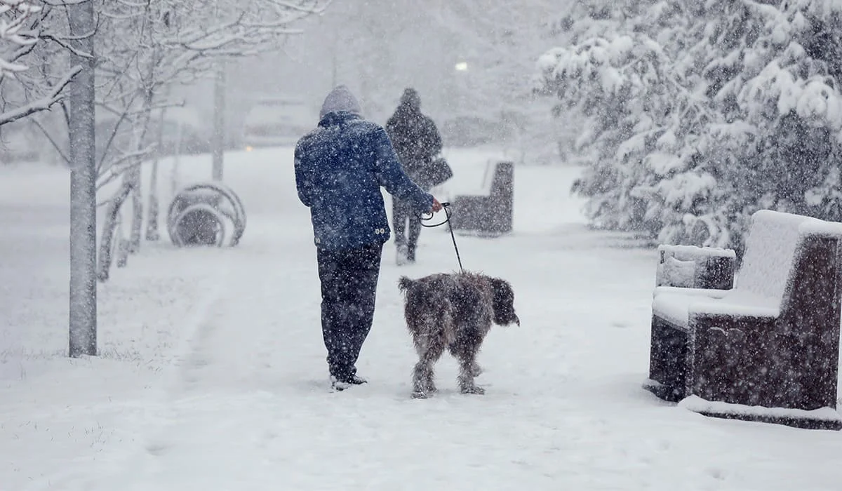 Непогода накроет Казахстан 27-29 декабря: где ожидаются снегопады и метели