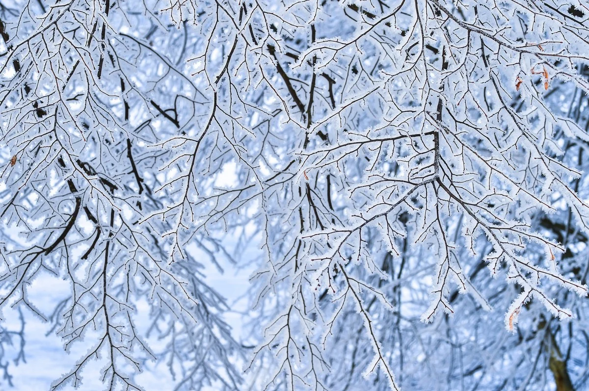 На юге +10, на севере до -17: прогноз погоды в Казахстане на 28 декабря