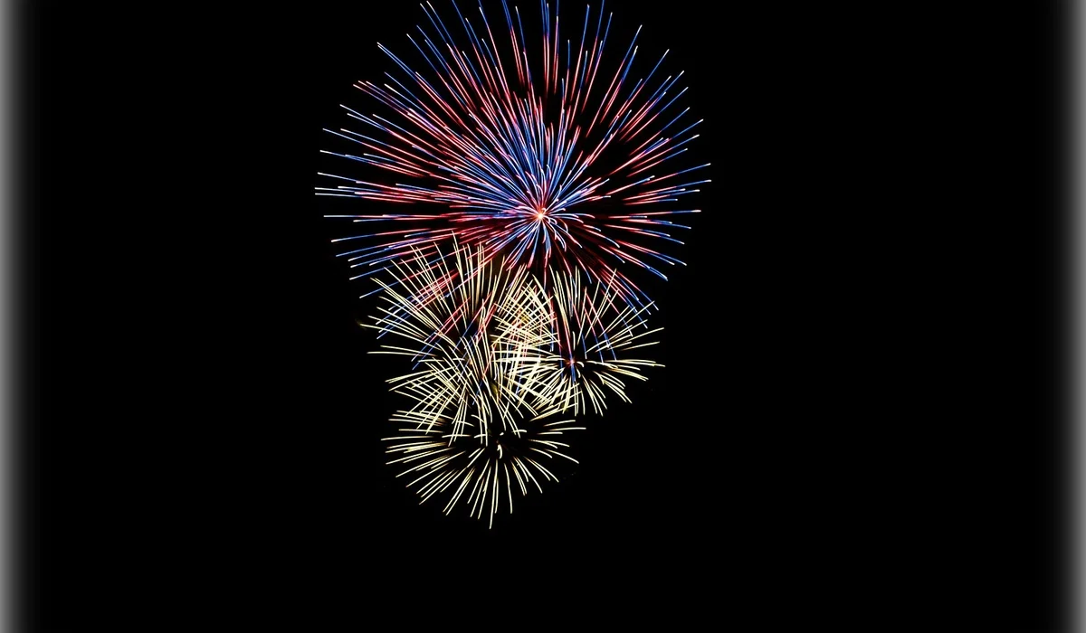 Петарды и фейерверки запретили в Нидерландах