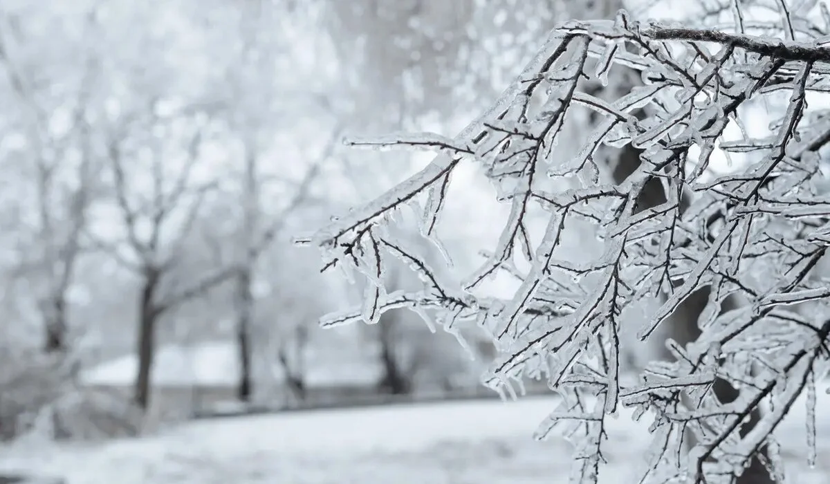 Снег с метелью и гололедом: прогноз погоды в Казахстане в ближайшие дни