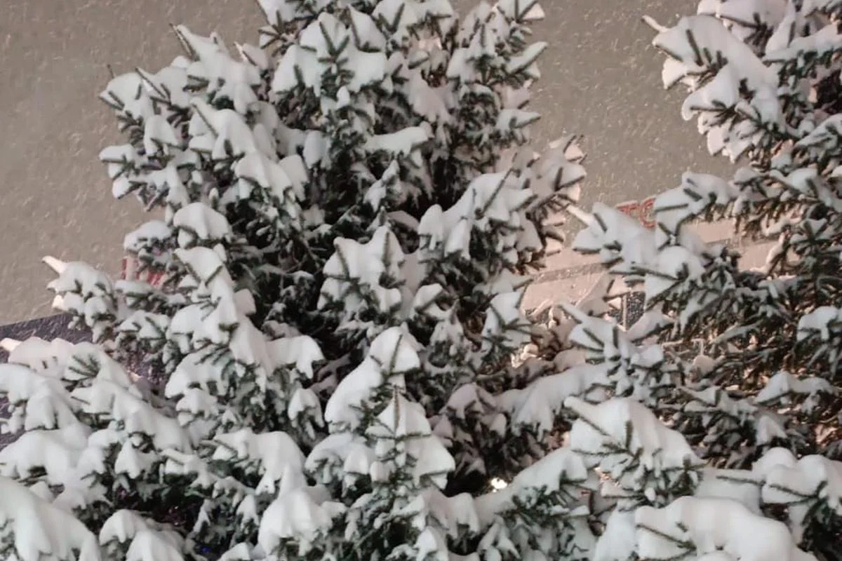 Прогноз погоды в Казахстане на 3 января