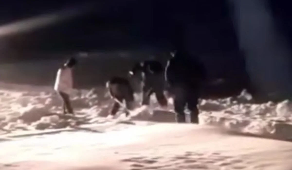 Трех пропавших мужчин нашли в степи в области Улытау (ВИДЕО)