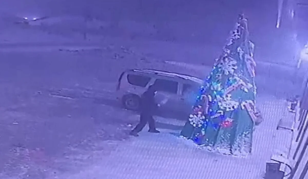 Подростки повредили елку в селе Мангистауской области (ВИДЕО)