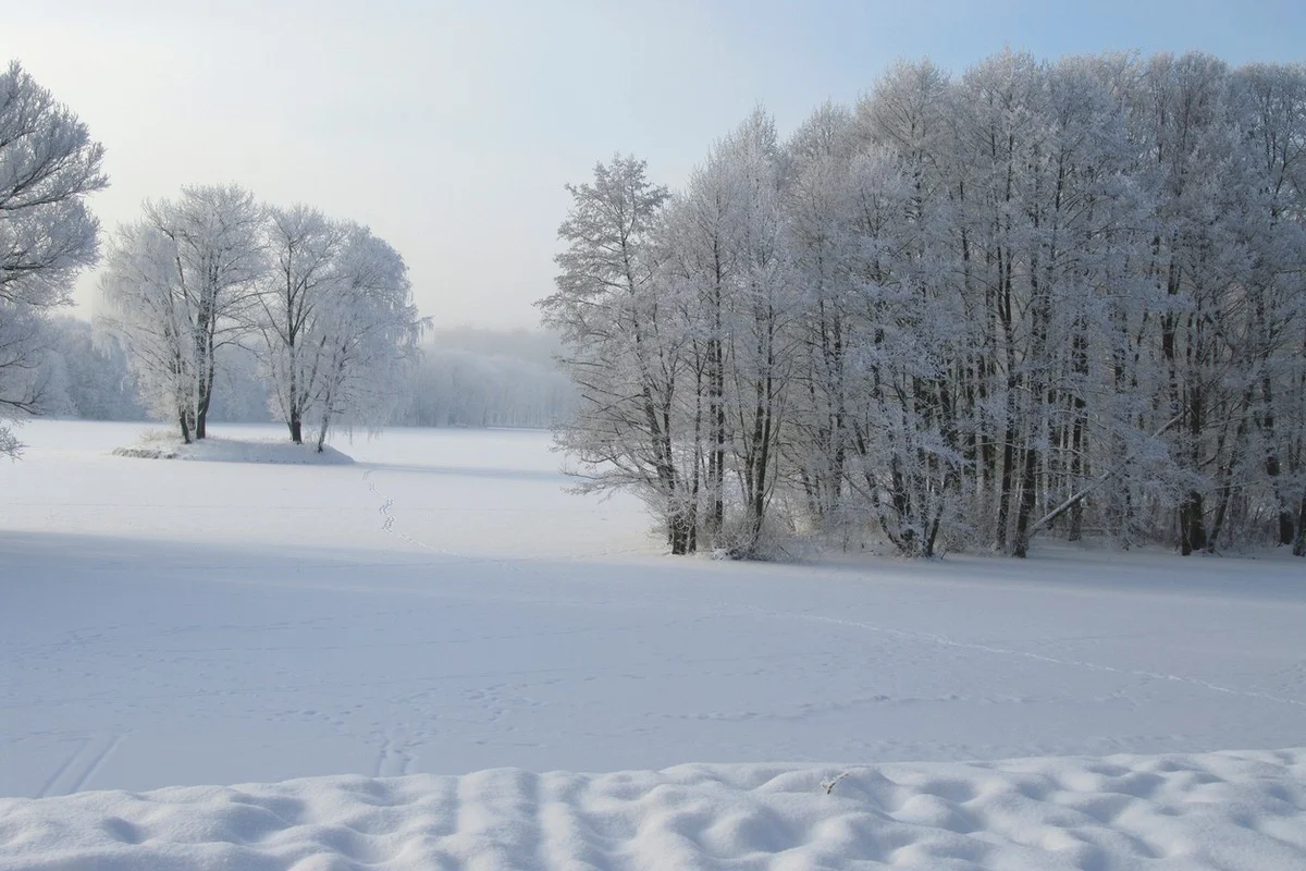 Штормовое предупреждение объявили по всему Казахстану на 5 января