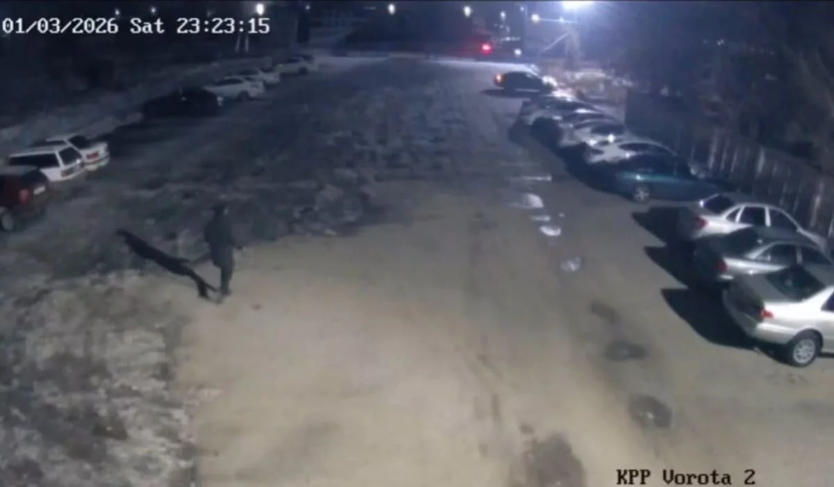 Парень угнал машину коллеги ради девушки в области Жетысу (ВИДЕО)