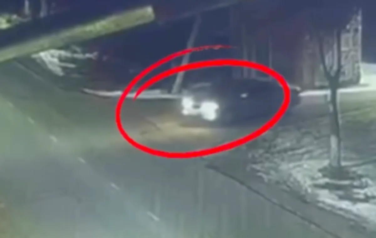 Пьяный талдыкорганец «перевозил» жену в багажнике? Что говорят в полиции (ВИДЕО)