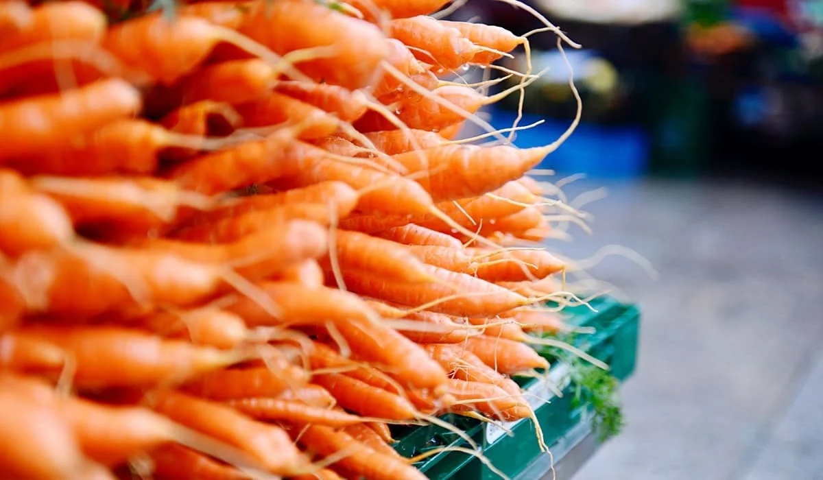 «Даже за 80 тенге тяжело продать»: депутат поднял вопрос запрета на экспорт моркови