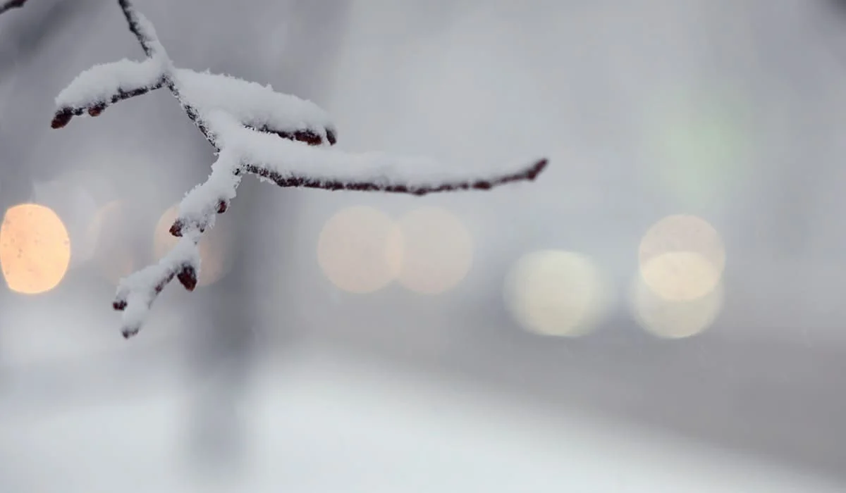 Снегопады и метели ожидаются на автодорогах в 10 областях Казахстана