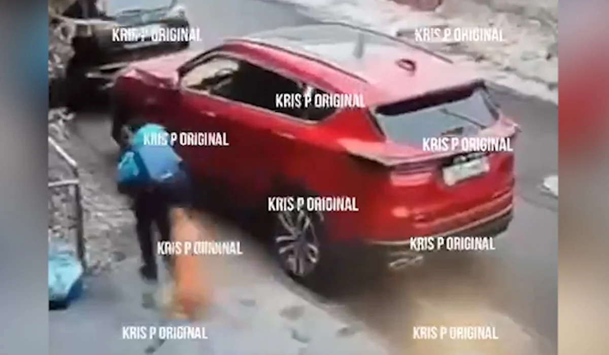 Собака напала на ребенка в Алматы (ВИДЕО)