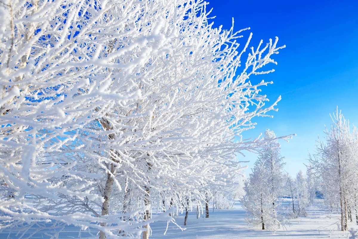 Морозная погода сохраняется в Казахстане: прогноз на 19 января