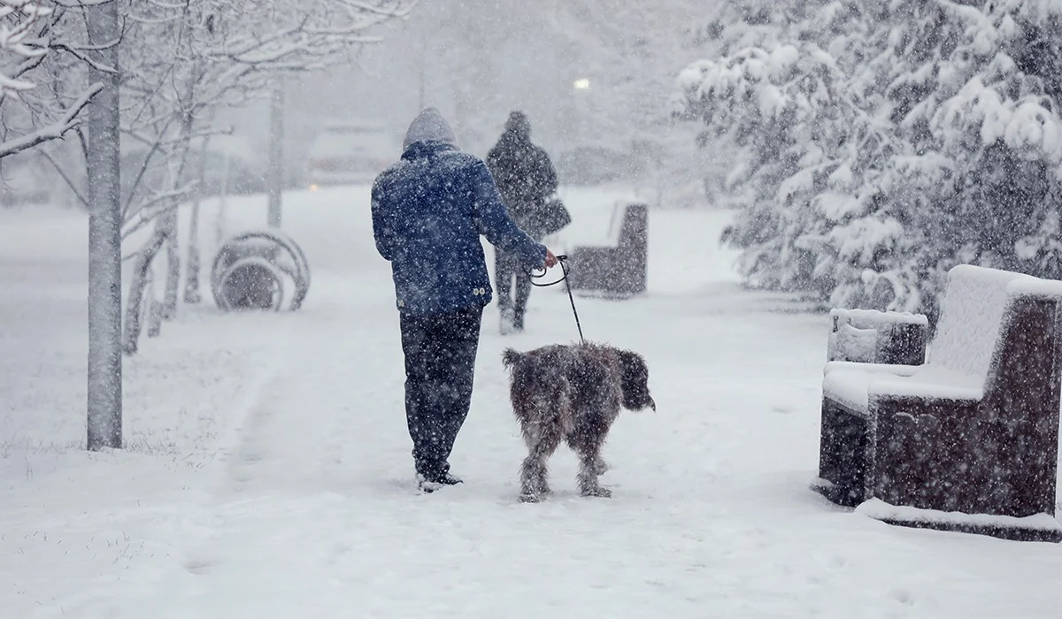 Сильные морозы до -38 и метели: синоптики дали прогноз погоды в Казахстане на 20-22 января