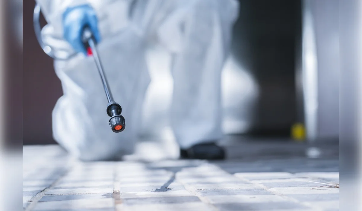 Школу в Атырау временно закрыли из-за крыс