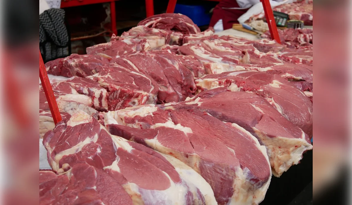 Импорт конины в Казахстан вырос в два раза