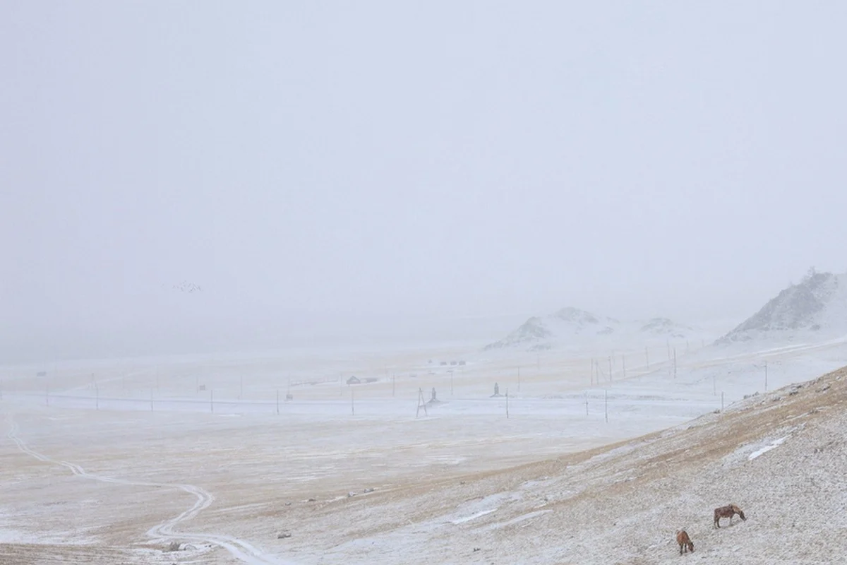 Штормовое предупреждение объявили в 15 регионах Казахстана на 23 января