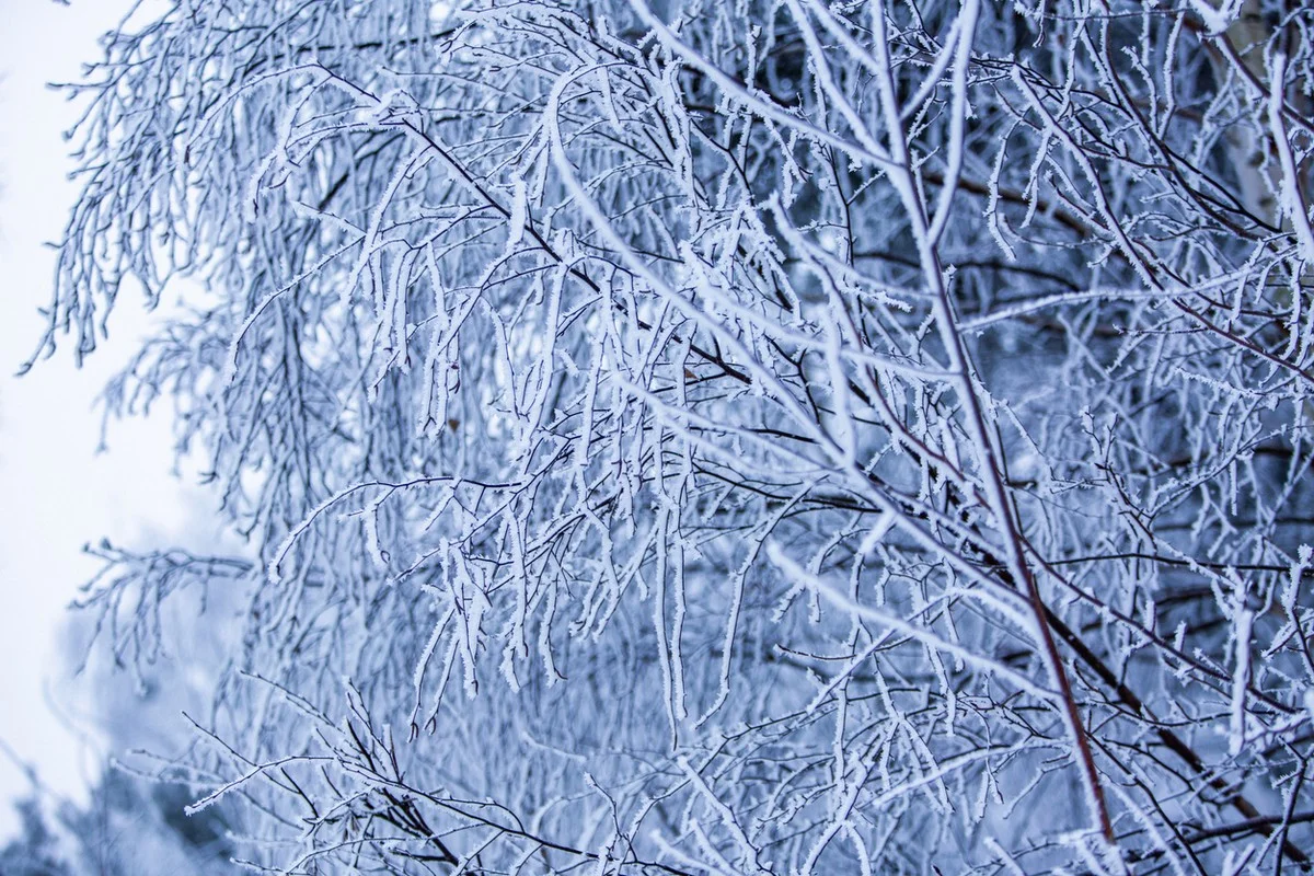 Морозная и снежная погода ожидается на большей части Казахстана 23 января