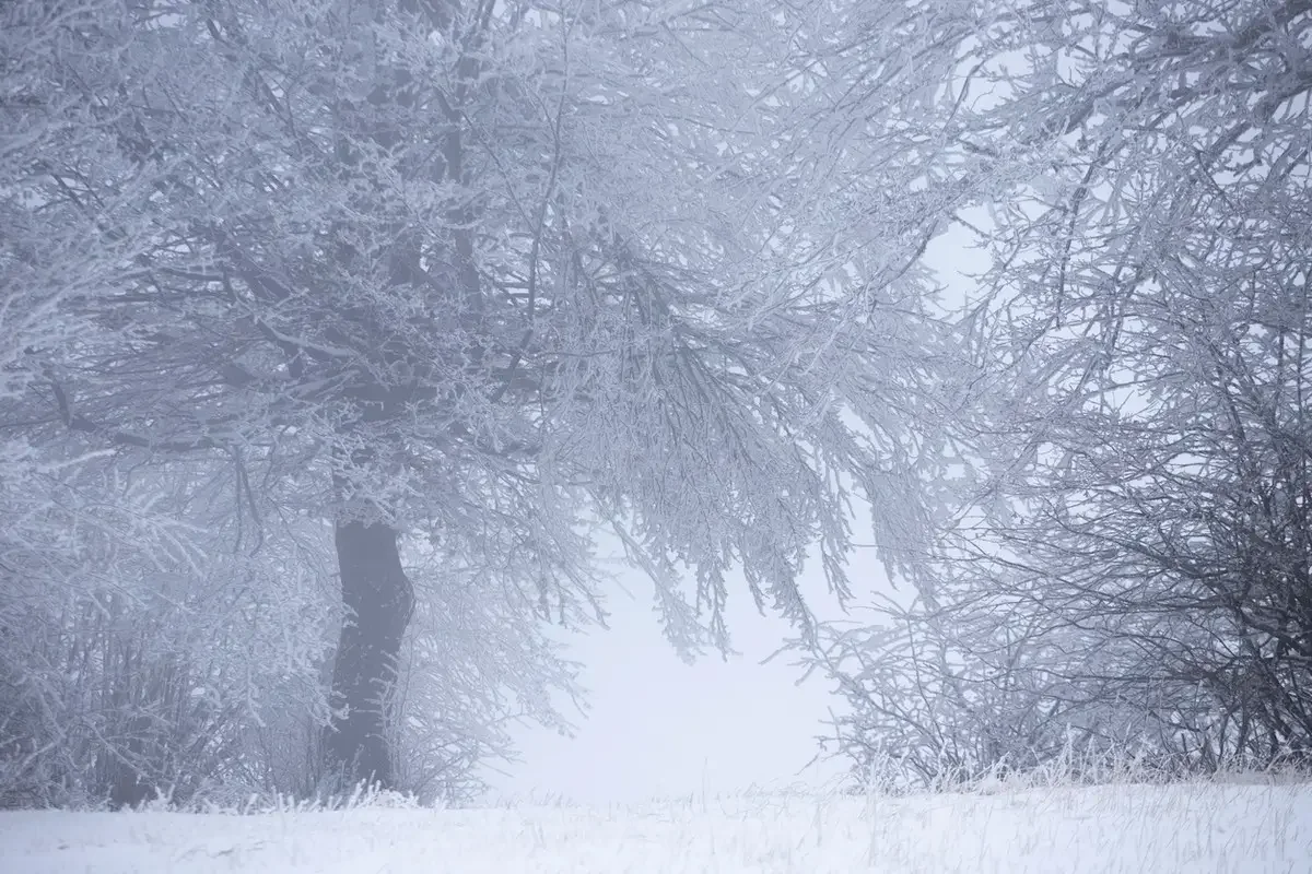В каких регионах Казахстана объявили штормовое предупреждение