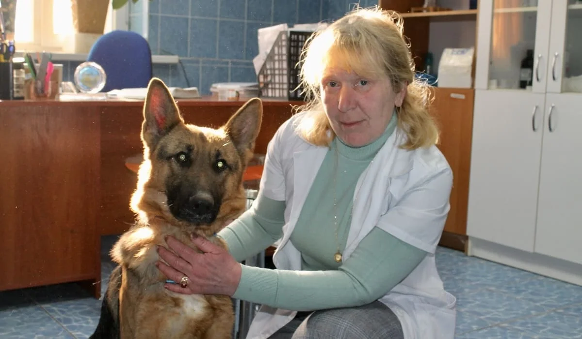 Лечит тех, кто служит без слов: история ветеринара полиции из Атырау