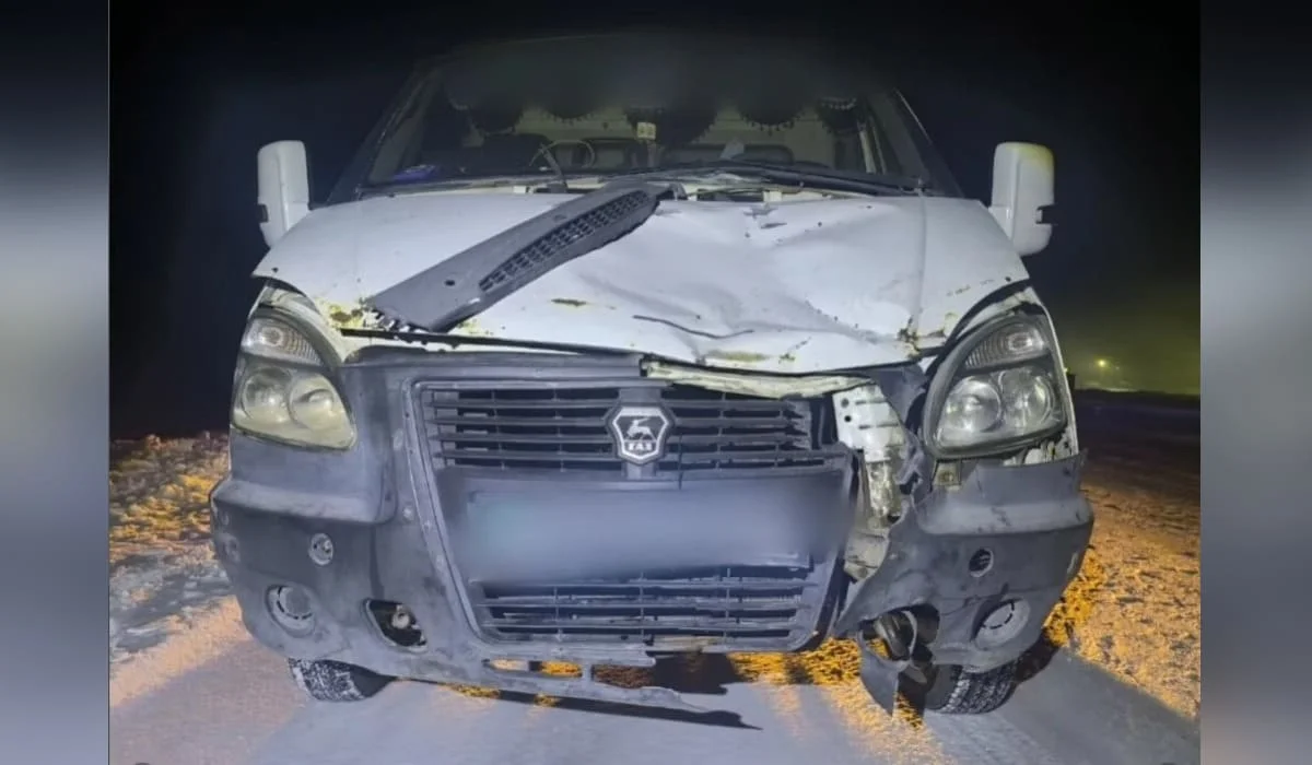 «Газель» насмерть сбила пешехода в Павлодарской области