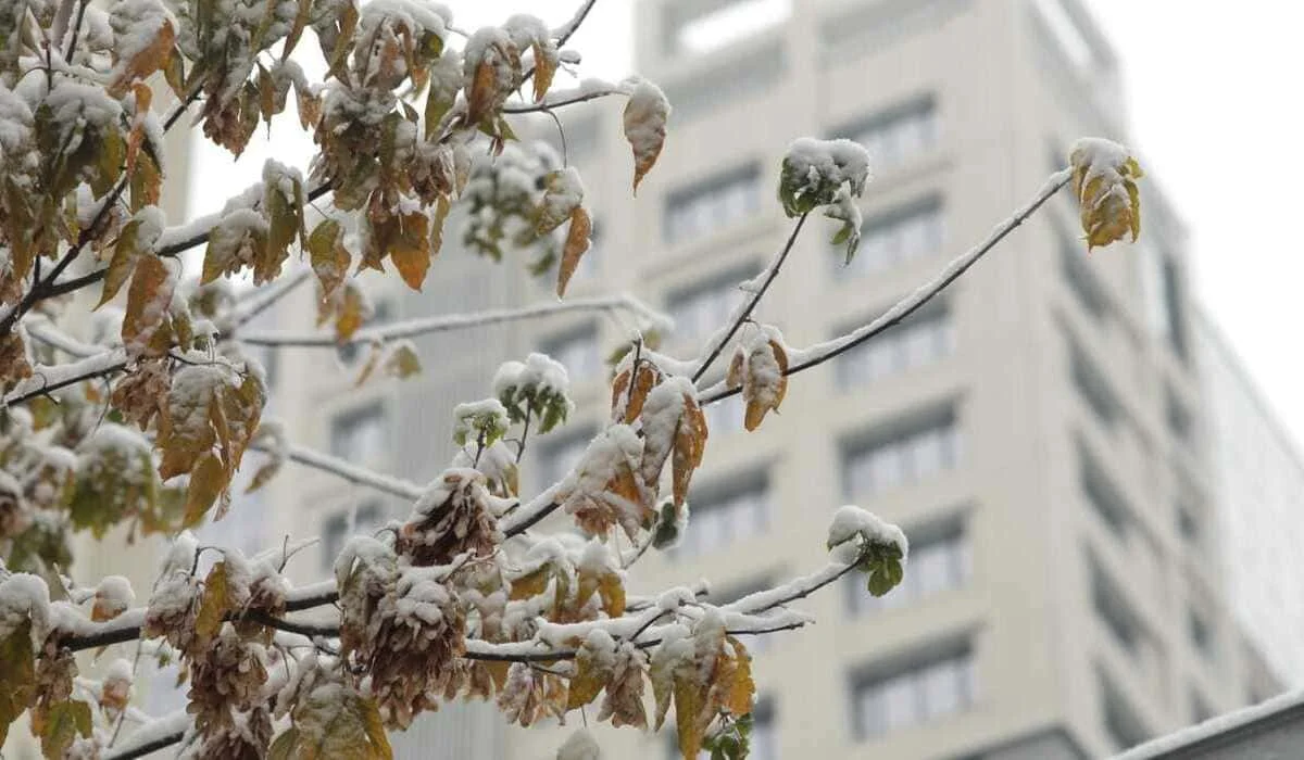 Январь в Казахстане завершится потеплением – прогноз синоптиков