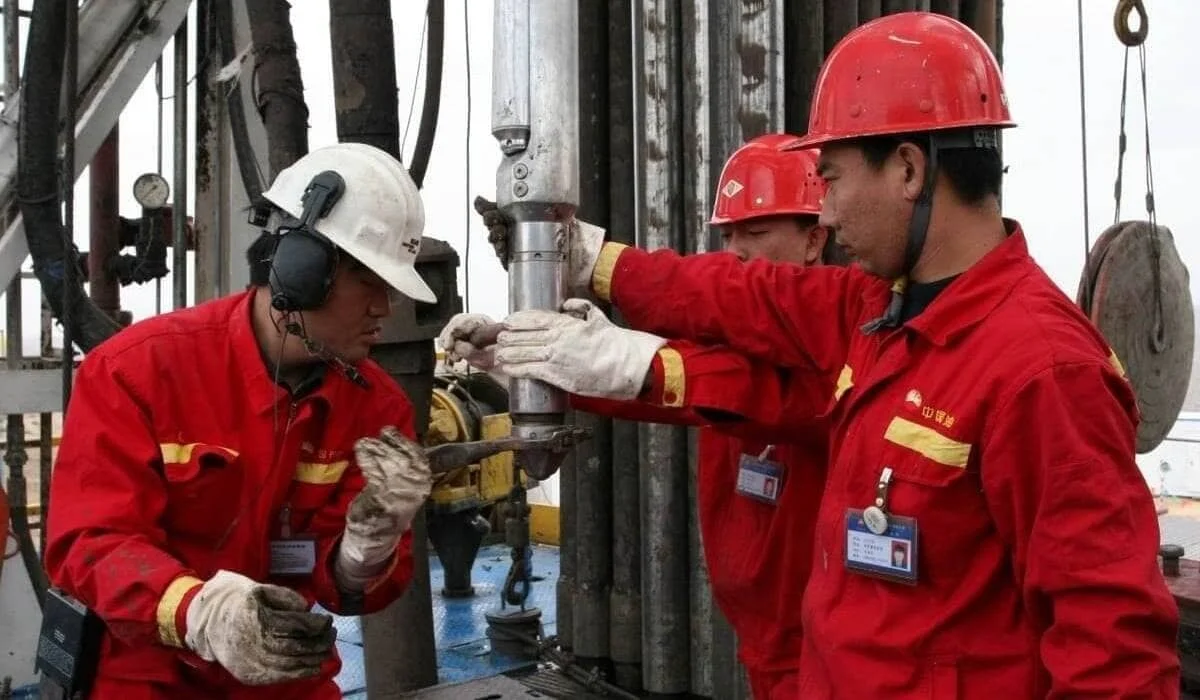 Где работают иностранные специалисты в Казахстане и откуда они приезжают