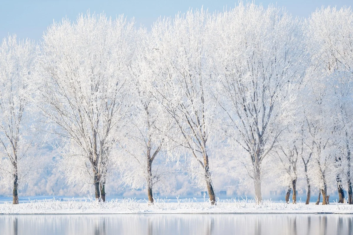 Погода без осадков ожидается на большей части Казахстана 29 января