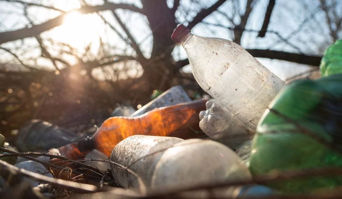 Выброс мусора и порча зеленых насаждений: акиматы получат новые полномочия