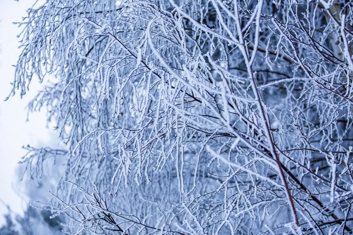 Какая погода ждет казахстанцев 30 января