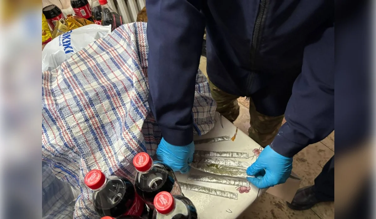 Наркотики в ремне сумки: попытку передачи пресекли в колонии Кызылординской области