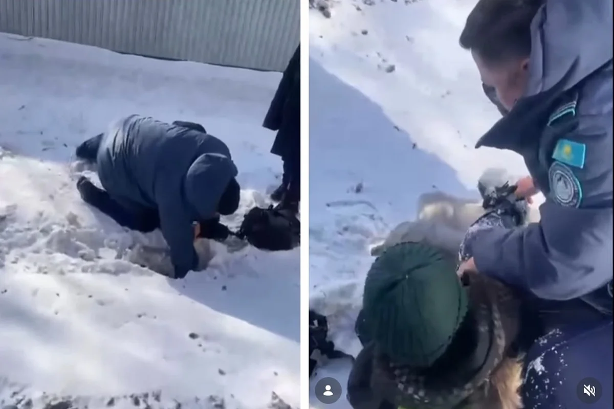 Шестилетний мальчик провалился в арык с водой в Кокшетау