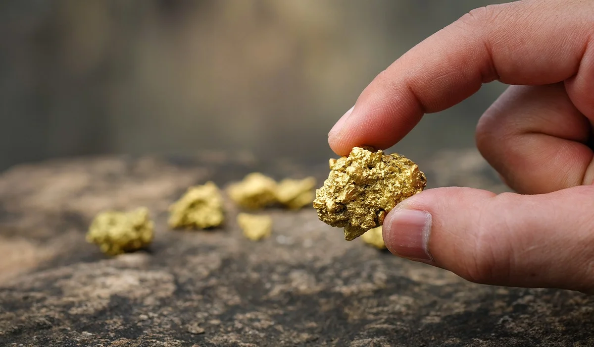 Добыли 451 грамм золота: пять человек поместили под домашний арест в Туркестанской области