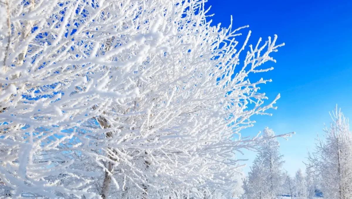 Прогноз погоды в Казахстане на 6 февраля представили синоптики