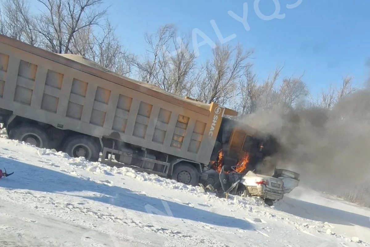 Водитель и пассажир погибли в сгоревшей Toyota Camry на трассе в СКО