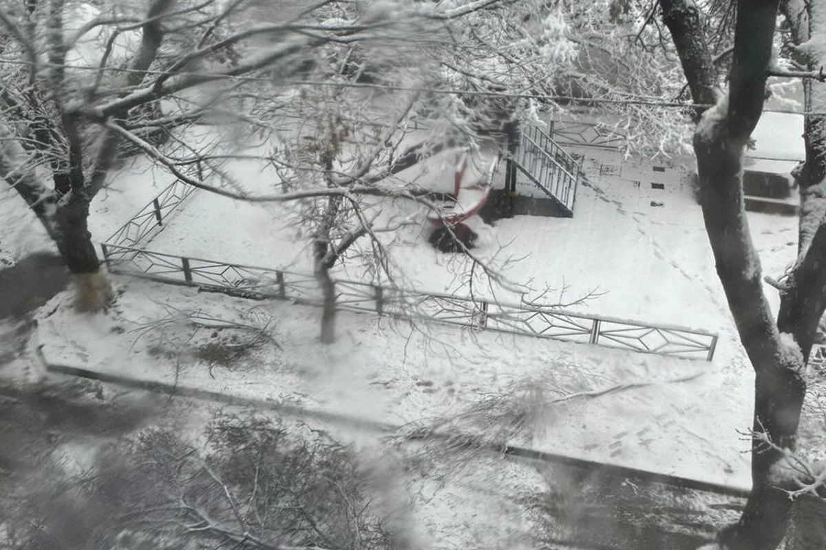 Снегопад в Шымкенте: упавшее дерево насмерть придавило ребенка