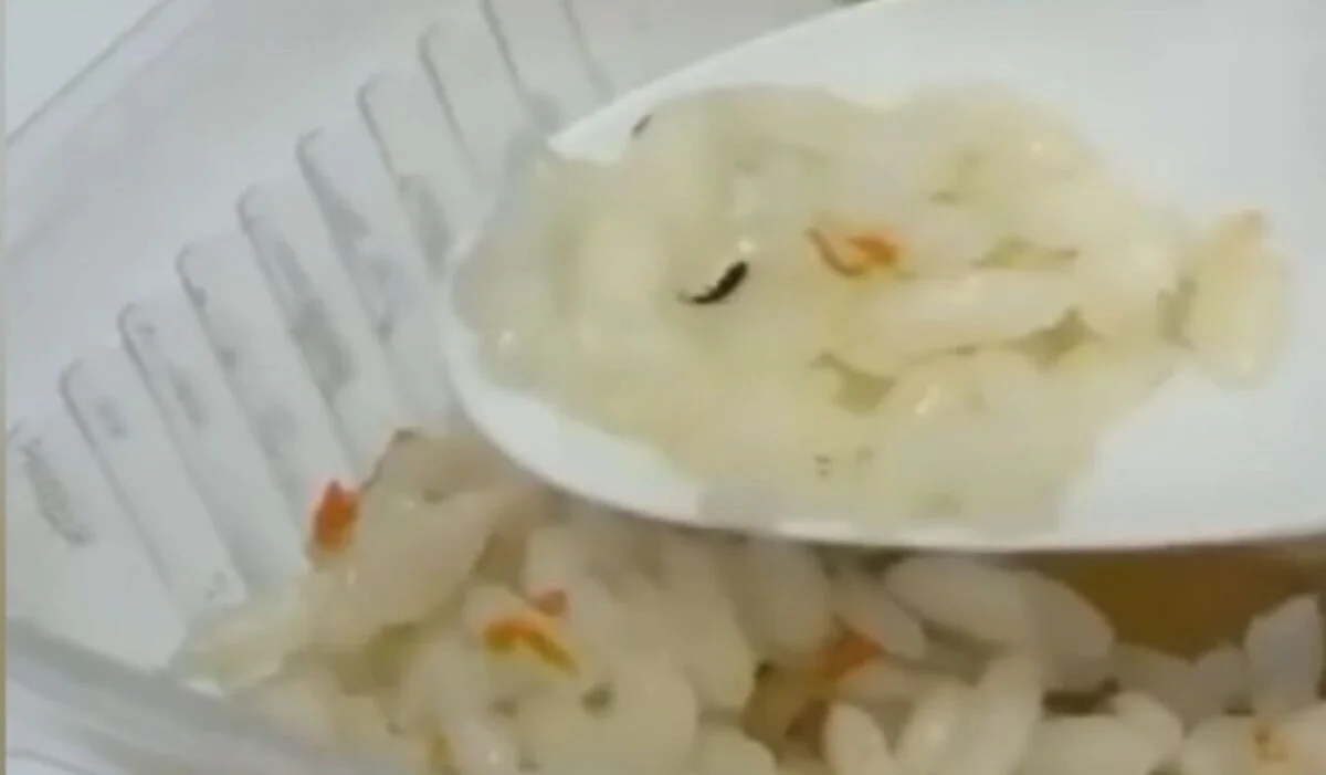 Черные жучки в плове: насекомых нашли в детском питании в больнице Караганды (ВИДЕО)