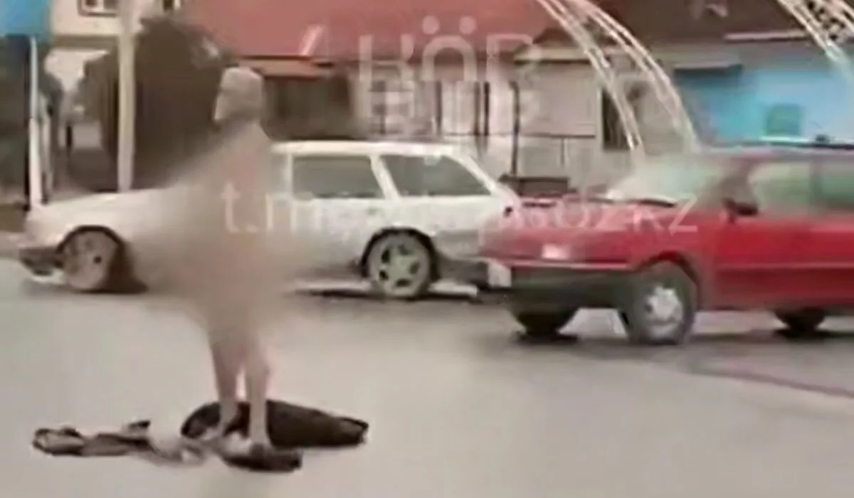 Голый мужчина на проезжей части шокировал жителей Жамбылской области (ВИДЕО)