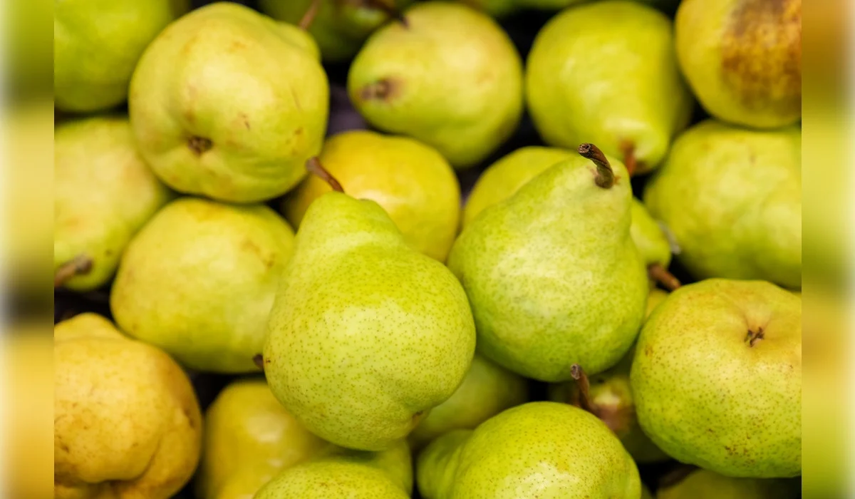 19 тонн бельгийских груш развернули на границе Казахстана