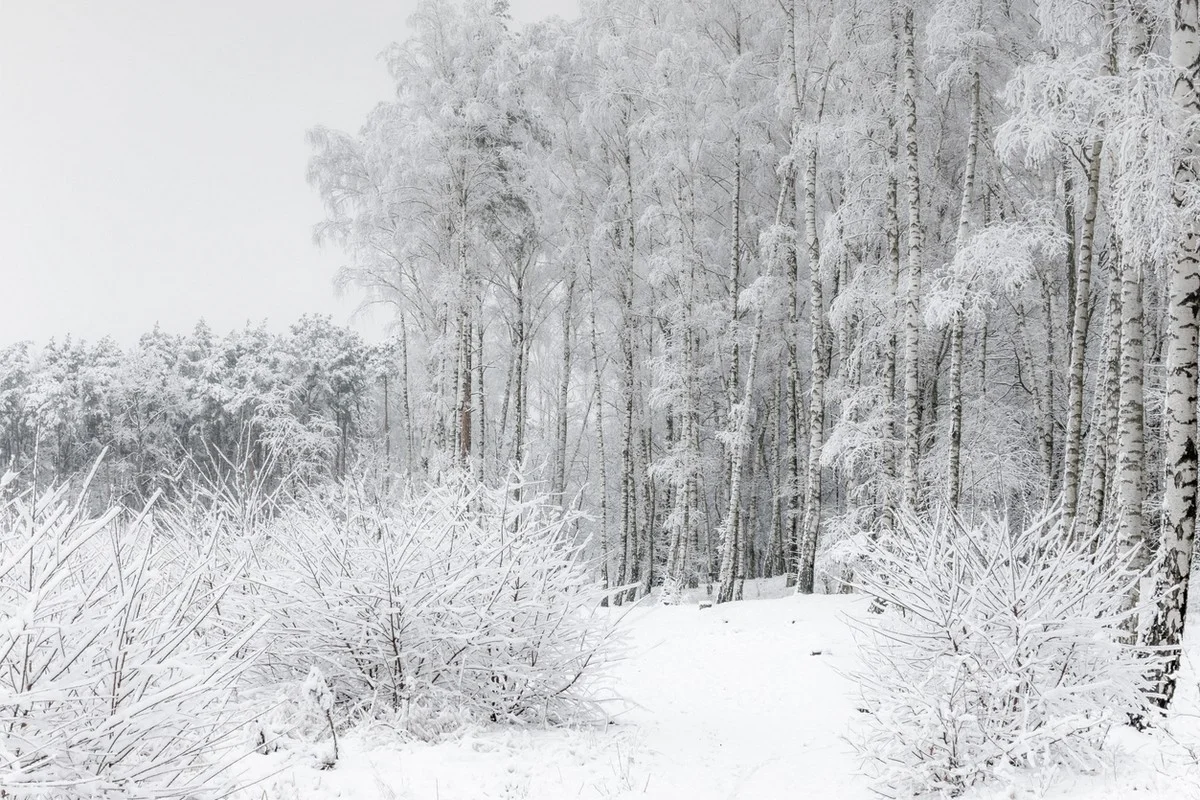 Штормовое предупреждение объявили в 14 регионах Казахстана на 15 февраля