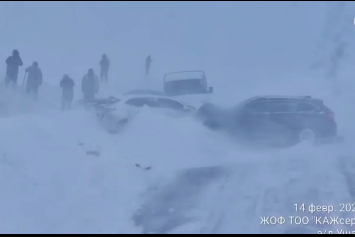Шесть человек пострадали в массовом ДТП на закрытой из-за бурана трассе в Жетысу